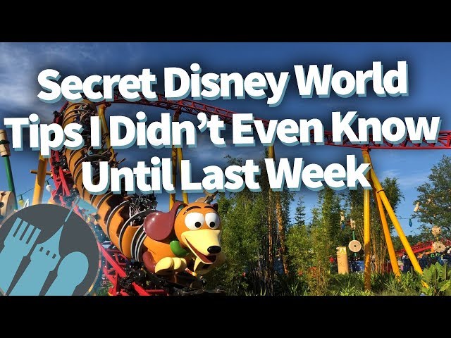 Secret Disney World Tips I Didn't Even Know Until Last Week!