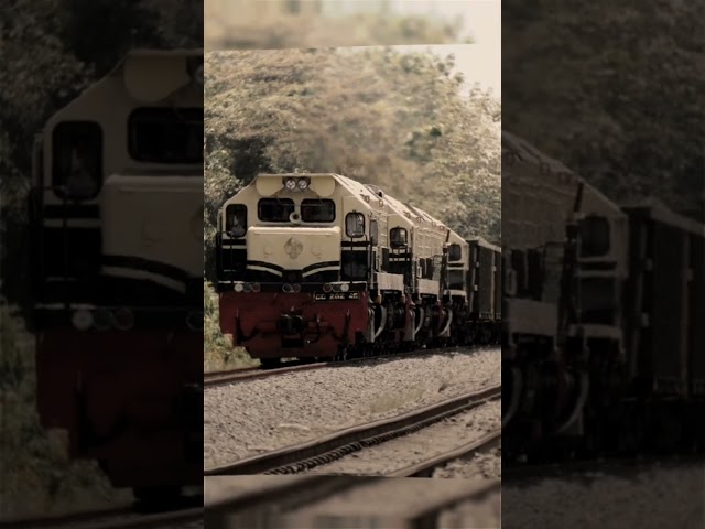 PJKA × KAI#railfansindonesia #keretaapiindonesia #vintage #pjka #cc202 #cc201