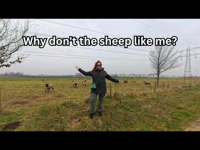 A Lovely Walk In The Dutch Countryside