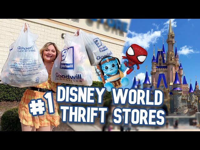 BEST Thrift Store Locations Next To Disney World for Parks Souvenirs!