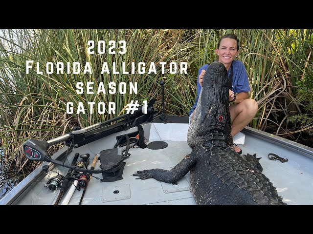 2023 Florida Alligator Hunting Gator #1