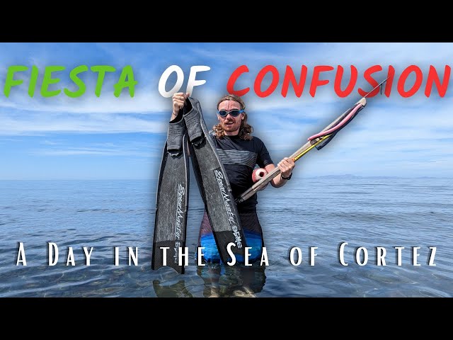 THE BEST OF BAJA CALIFORNIA SUR, MEXICO  (Spearfishing in La Paz)