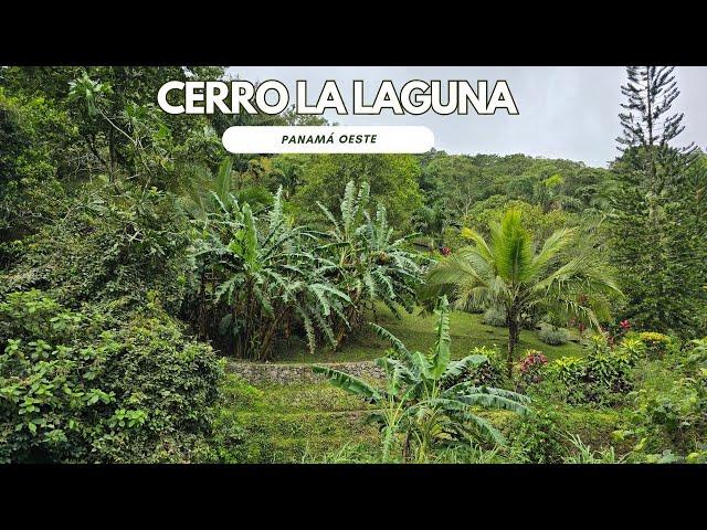 Cerro La Laguna - El Valle de Anton, Sendero Panamá Oeste. Senderismo