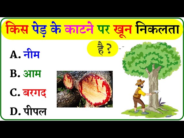 GK Question || GK In Hindi || GK Question and Answer || GK Quiz ||