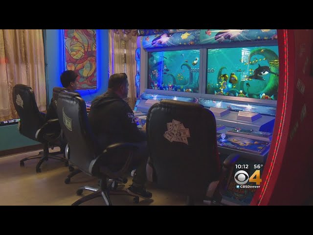 Raided Arcade Owners Say They Provide Games of Skill, Not Gambling