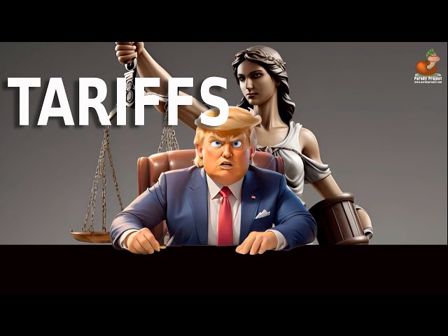 I BROUGHT YOU TARIFFS - A Parody | John Emory & Don Caron