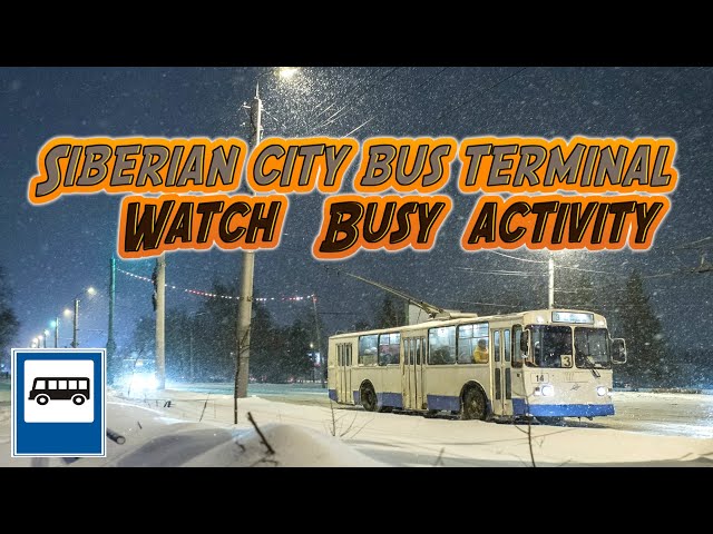 🚍🅻🅸🆅🅴🚍Bus Terminal in Siberia🚌Intense Activity at the Last Stop❄️Hub for Isolated Communities🌨️LO-FI