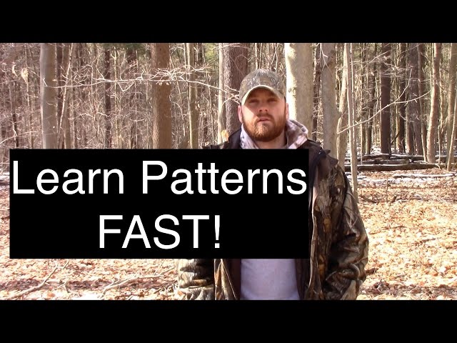 How to Scout Deer - Finding Deer Trails FAST!