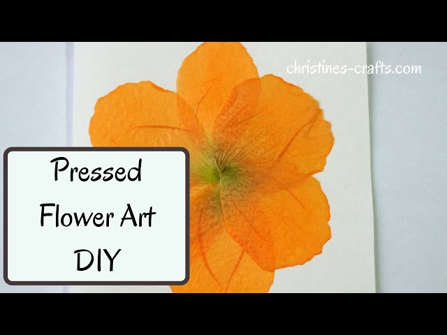 PRESSED FLOWER ART IN A FRAME - A quick and easy way to make pressed flower pictures