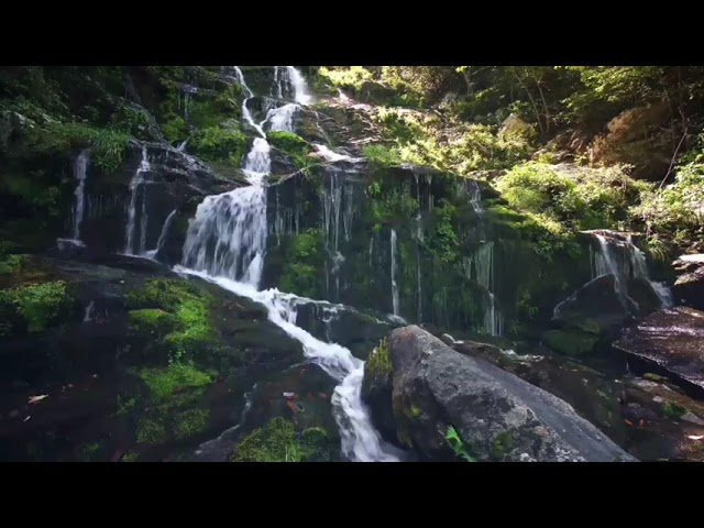 Relax-10-minute, waterfall nature sounds, sleep, nature calming, meditation, soothing, study,🧘🏻‍♂️