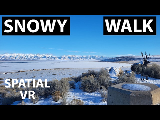 Spatial VR - Snowy Beach Walk