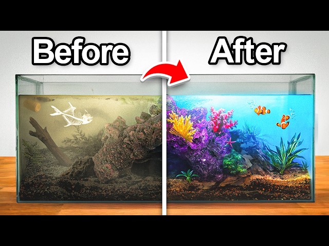 Transforming an Abandoned Aquarium (with fish)