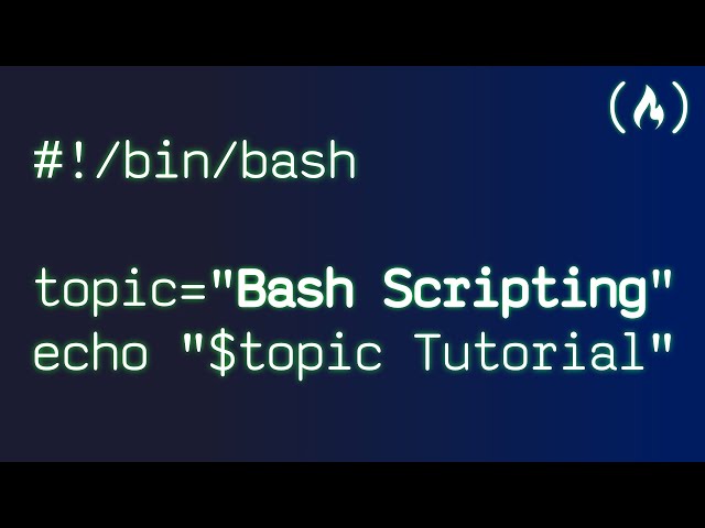 Bash Scripting Tutorial for Beginners