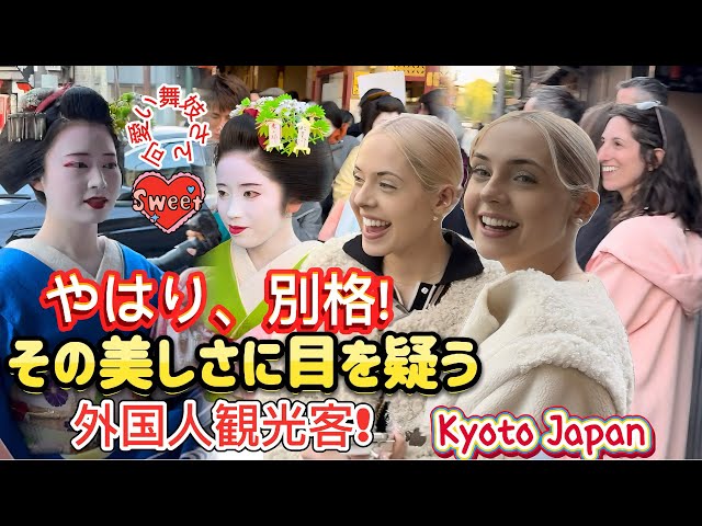 Maiko are truly something special! Foreign tourists can't believe their eyes at their beauty! Kyoto