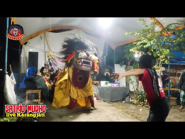 Atraksi Barongan Raksasa Ngamuk! Barongan Satrio Mudho Terbaru live Mojoagung Karangjati| BarongBoys