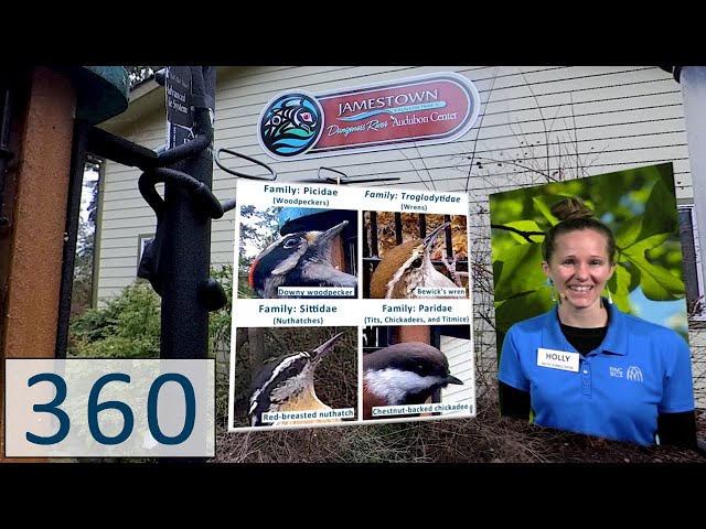 PacSci 360° Basic Bird ID & Beak Evolution