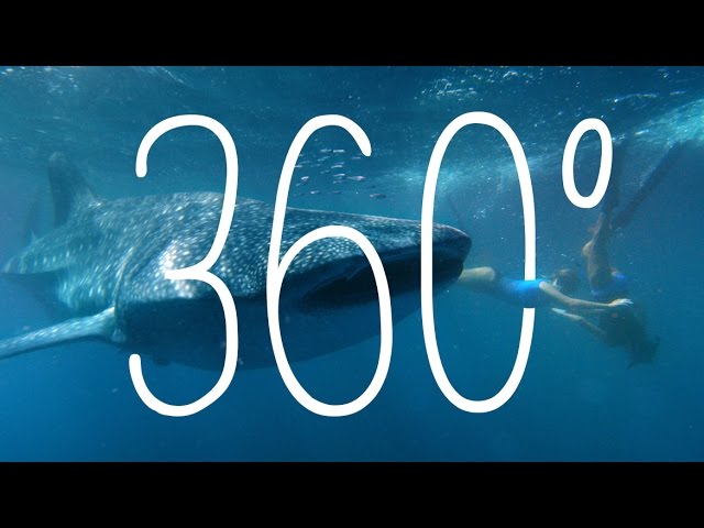 Ningaloo Marine Park, Western Australia, Australia | 360 Video | Tourism Australia