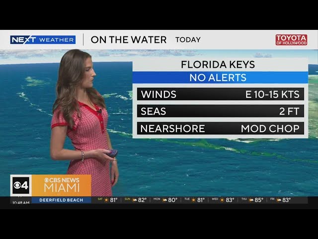 South Florida weather for Saturday 2/8/25 at 10 AM