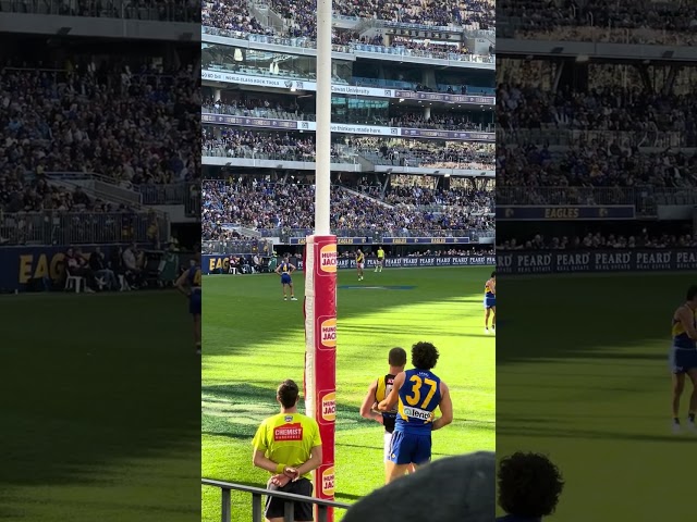 Kamdyn McIntosh kicked a behind 🤣 | AFL Round 18 2023: West Coast Eagles v Richmond Tigers