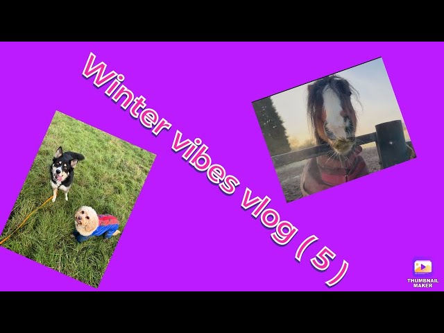 winter vibes vlog ( 5 )