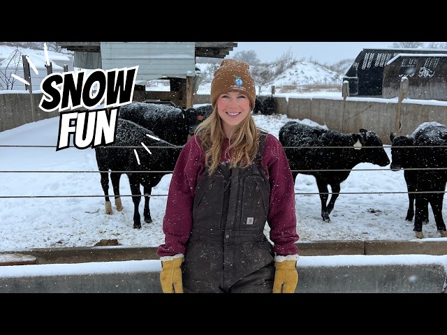 Surviving a Winter Snowstorm on the Farm: Manure Hauling, Tractor Maintenance & Snow Fun!