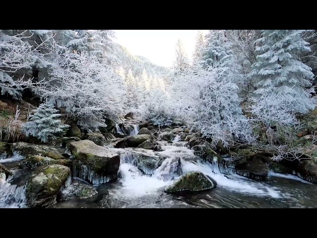 Winter Wonderland: Relaxing Snow And Water Sounds For Studying, Meditation, And Sleep