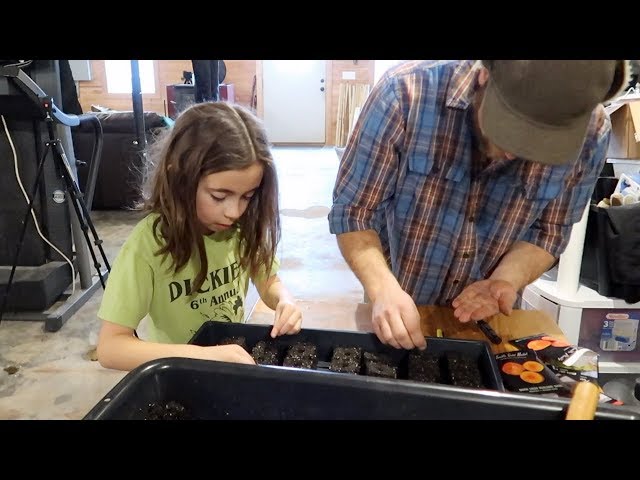 We want The best BLTs on Our Homestead | Time to start the tomato plants inside in Soil Blocks