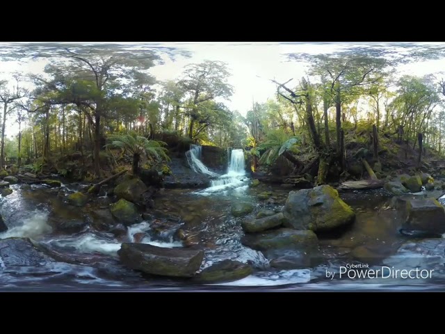 WhatsApp natural & lifelike status 360 amazing video🤔!must watch