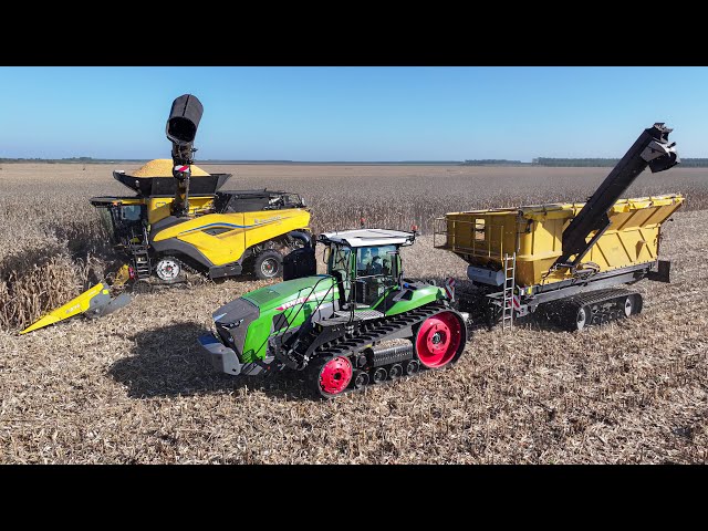 2024 | XXL CORN HARVEST in France ! 140HA FIELD | CR11 with 16 rows