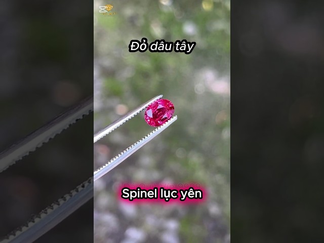 Đỏ dâu tây spinel lục yên#gemstone #spinel #daquylucyen #xuhuong