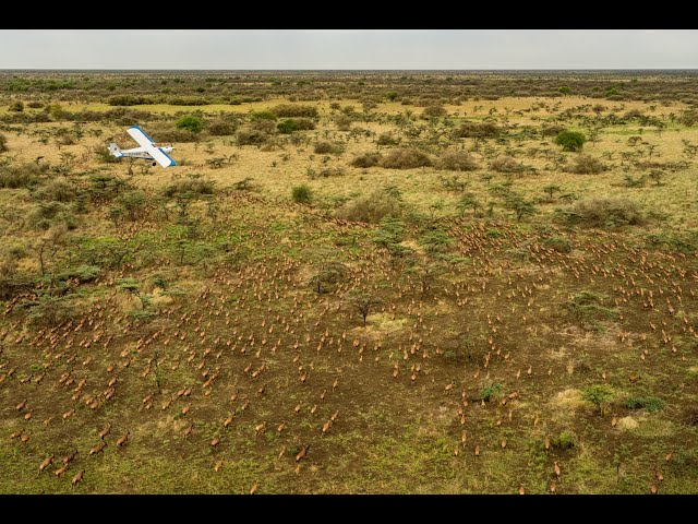 The Great Nile Migration of South Sudan