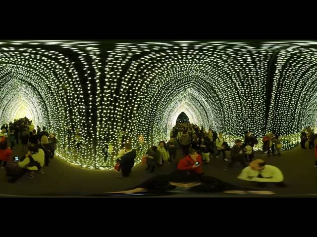 Vivid Sydney - Cathedral of Lights