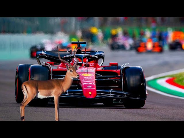 You Won't Believe These 30 Formula 1 Train Accidents Caught on Camera | Aweboom