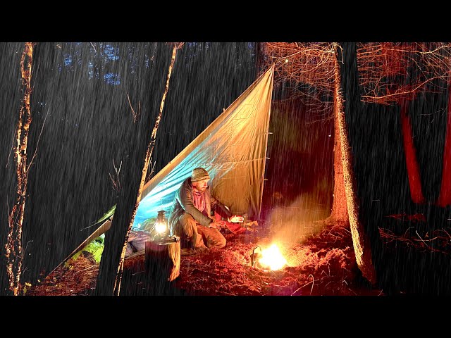 Camping in the Rain Using a Simple Shelter - Solo woodland Wild Camp