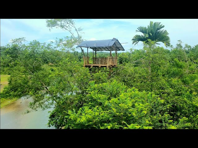 camping in heavy rain||building tree houses by the river, and being hit by a midnight rainstorm