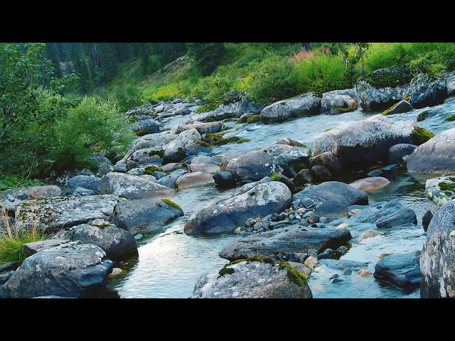 Soothing Sounds of a Babbling Brook 🌿 | Relaxation, Meditation, Sleep, & Stress Relief