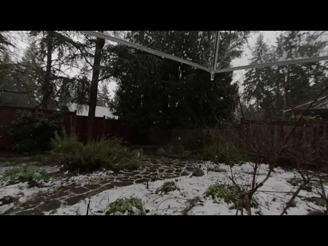 ASMR Snow falling on a clear umbrella