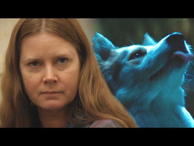 Amy Adams Becomes a DOG in Nightbitch Trailer