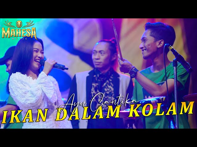 AYU CANTIKA - IKAN DALAM KOLAM | MAHESA MUSIC ( Live Kedamean ).