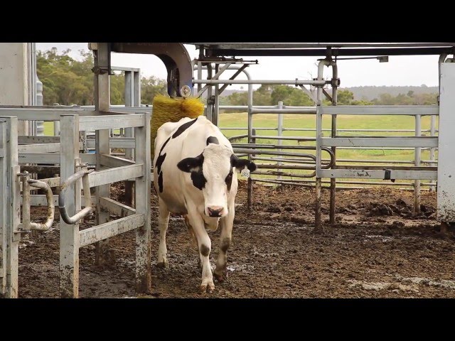 Investigating robotics in food production