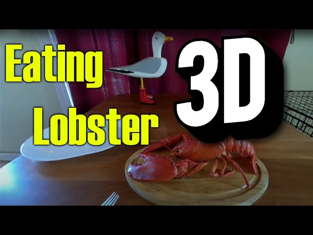 Eating Lobster in 3d VR Video 180