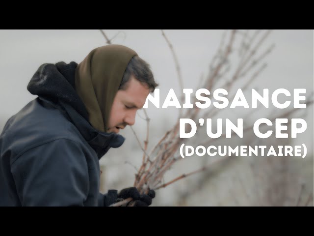 NAISSANCE D'UN CEP - DOCUMENTAIRE