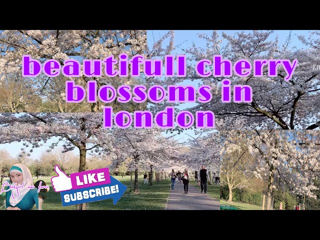 BEAUTIFUL CHERRY BLOSSOM IN LONDON // BATGIRL MAE FORCE