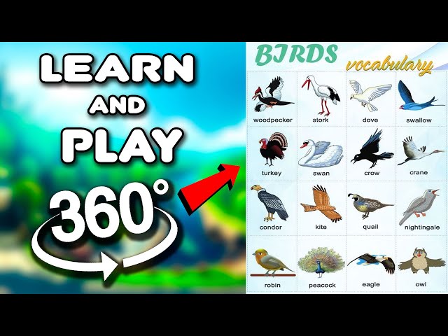 Birds Vocabulary l Learn Birds Name In English With Pictures | English Vocabulary