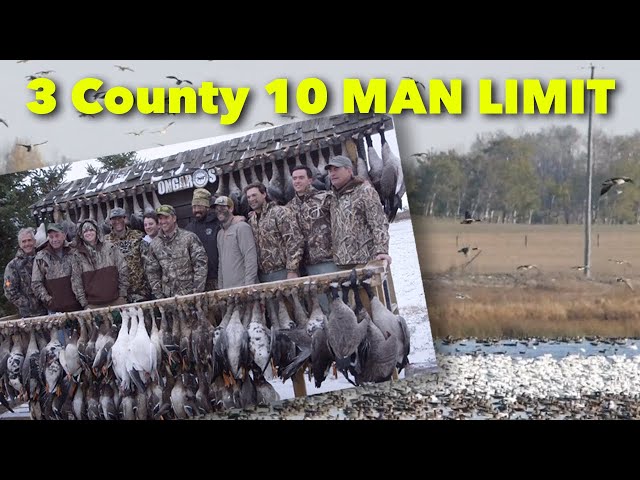 10 MAN LIMITS  - Claudio Ongaro's Hired to Hunt Season 5: Duck and Goose Limits at Ongaro's