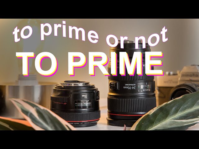 Zoom VS Prime: My Primes Were Holding Me Back!