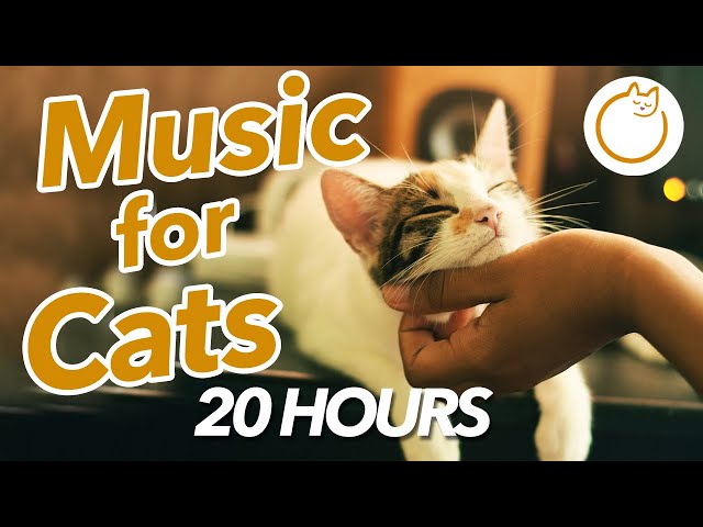 20 HOURS of Sleep Music for Cats - Rain Sounds