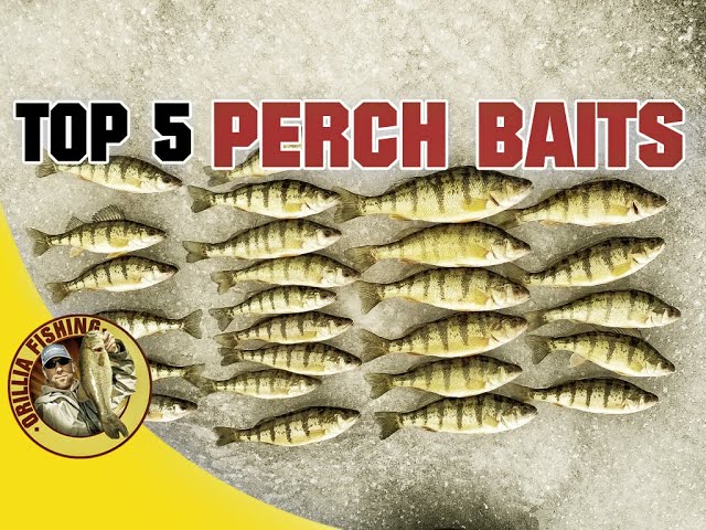 Top 5 Perch Ice Fishing Lures