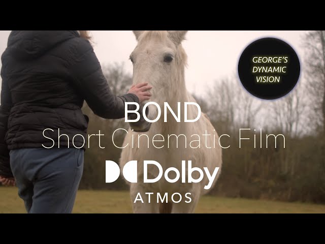 BOND - A Cinematic Short Film - Friendship between a horse and a girl | 8K HDR | Dolby Atmos