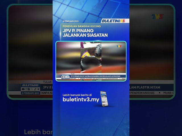 TULAR | JPV P. Pinang Siasat Dakwaan 10 Bangkai Kucing Dalam Plastik Hitam